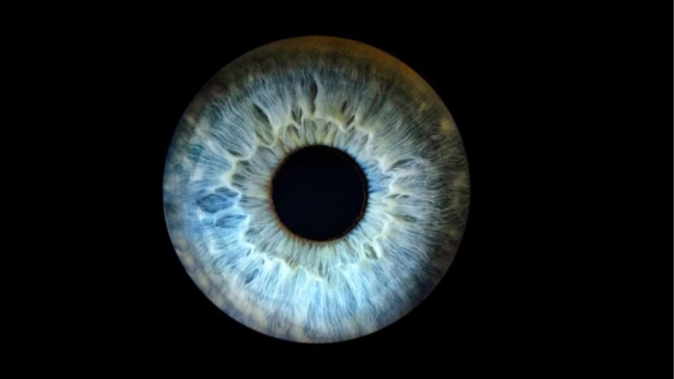 Aligning Purpose with Strategy: A CEO's Roadmap for Growth