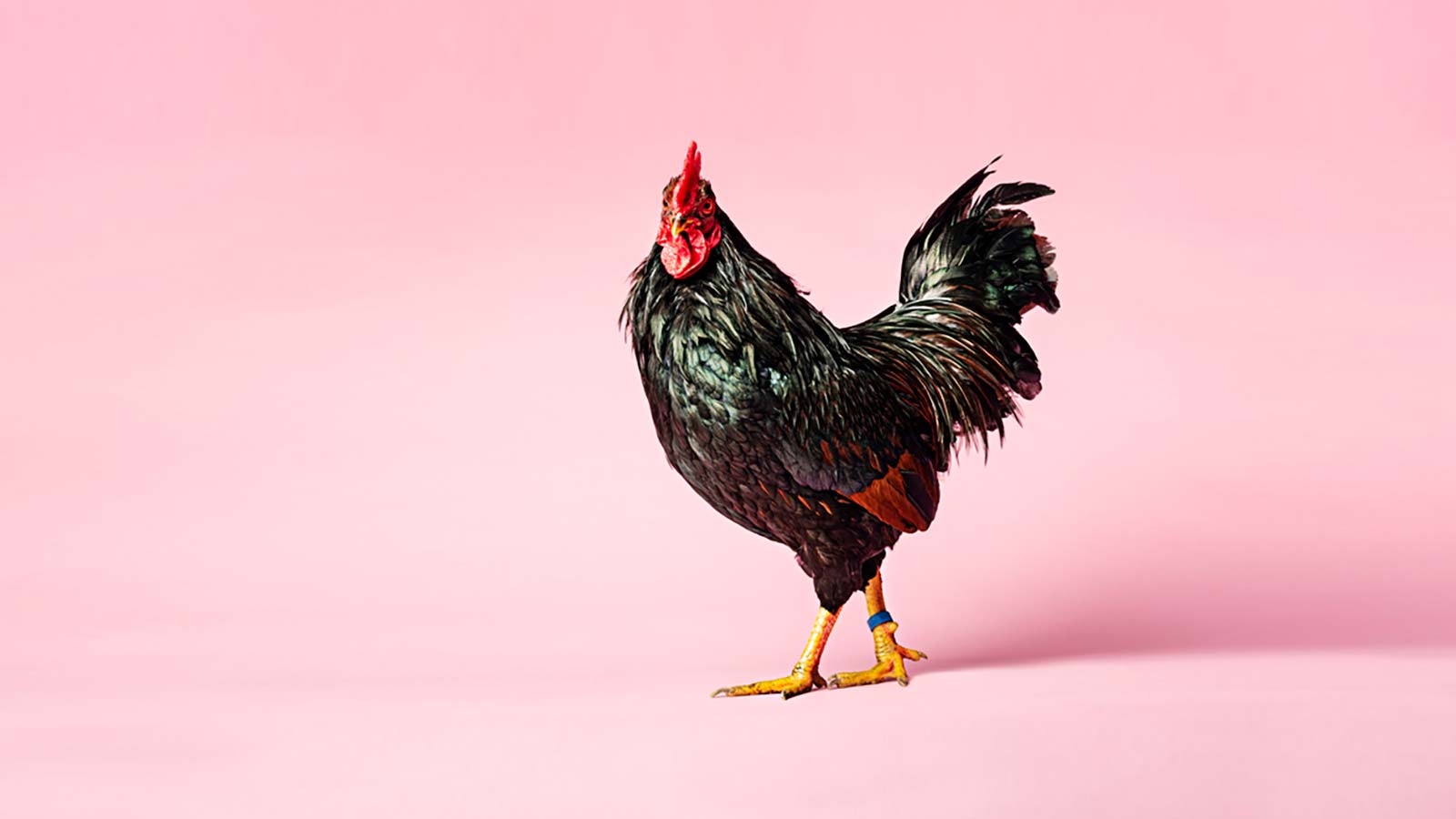 Thoughts on dismantling cultural power structures