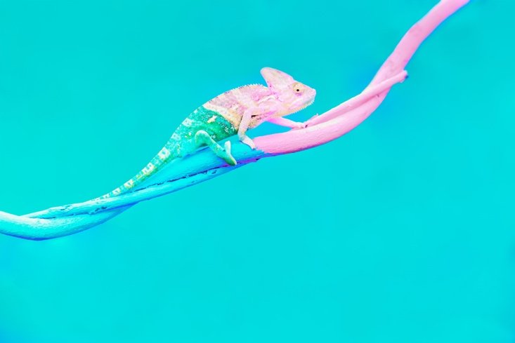 Brand Transformation: Why Strategy Must Lead the Way