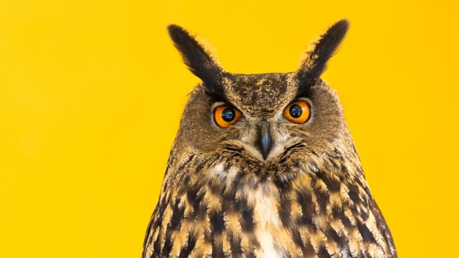 The value of corporate purpose in 2024